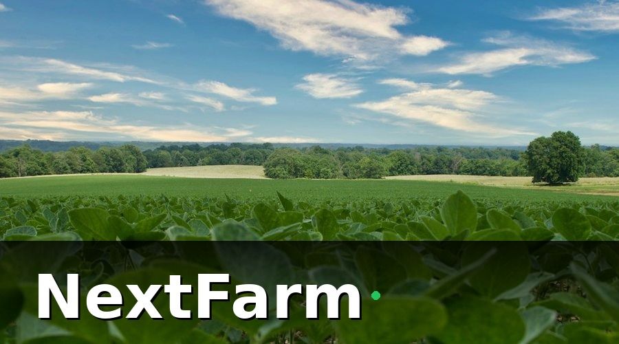 NextFarm — IoT cảm biến là gì và tại sao nông trại nhỏ cũng cần?