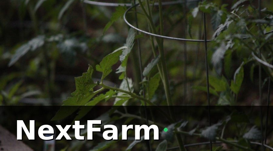 NextFarm — Các chỉ số quan trọng cần theo dõi