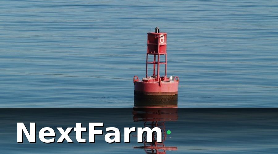 NextFarm — Những thông số nào cần đo trong ao cá nước ngọt?