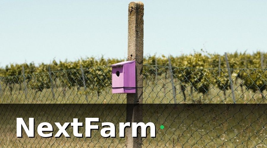 NextFarm — Tiêu chí chọn thiết bị IoT cảm biến phù hợp