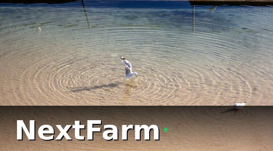 NextFarm — Tại sao IoT cảm biến là 