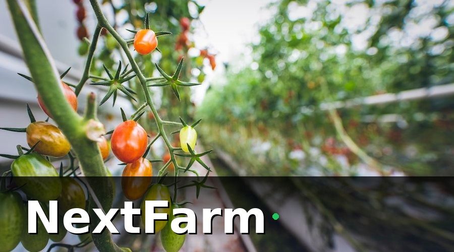 NextFarm — 5 Loại Cảm Biến IoT Thiết Yếu Cho Trang Trại Rau Thủy Canh