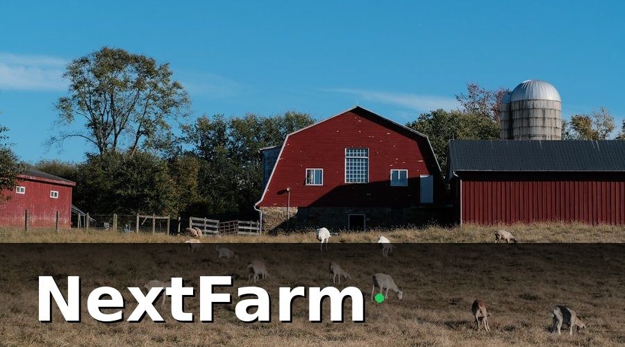 NextFarm — Tại Sao Trang Trại Dê Cừu Cần IoT Cảm Biến?