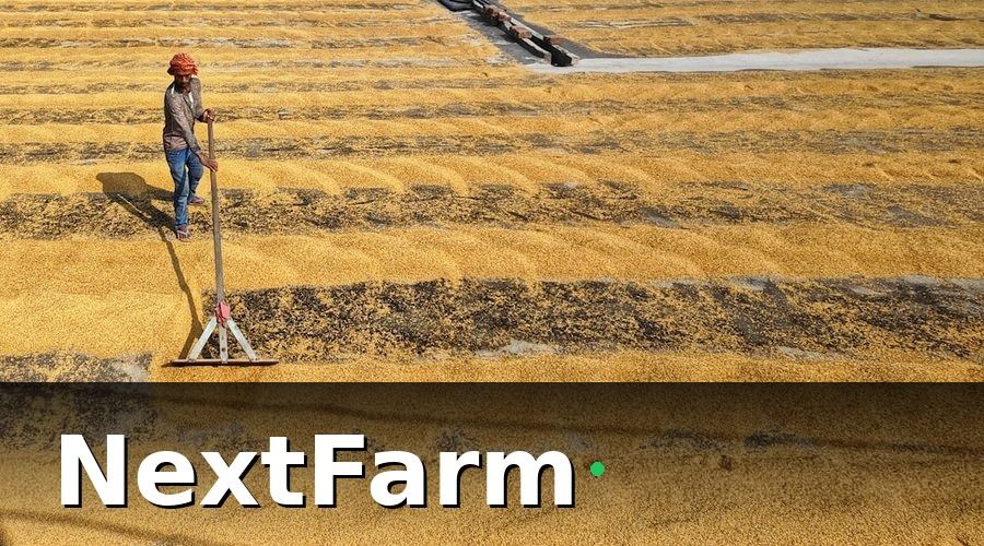NextFarm — Các Loại Cảm Biến IoT Cần Thiết Cho Trang Trại Dê Cừu