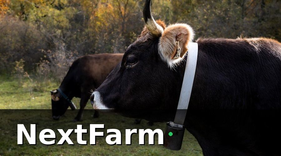 NextFarm — Các loại cảm biến IoT cần thiết cho trang trại nuôi gà