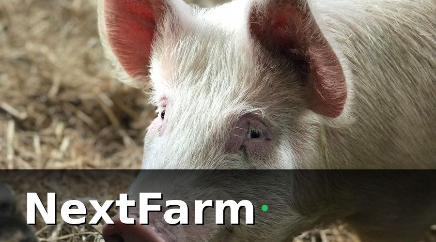 NextFarm — IoT Cảm Biến Là Gì Và Tại Sao Trang Trại Heo Cần?