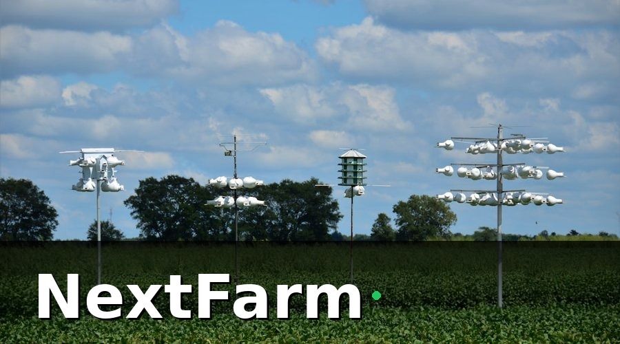 NextFarm — 5 Loại IoT Cảm Biến Quan Trọng Nhất Cho Trang Trại Nuôi Heo