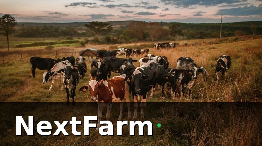 NextFarm — Cách Chọn IoT Cảm Biến Phù Hợp Với Quy Mô Trang Trại