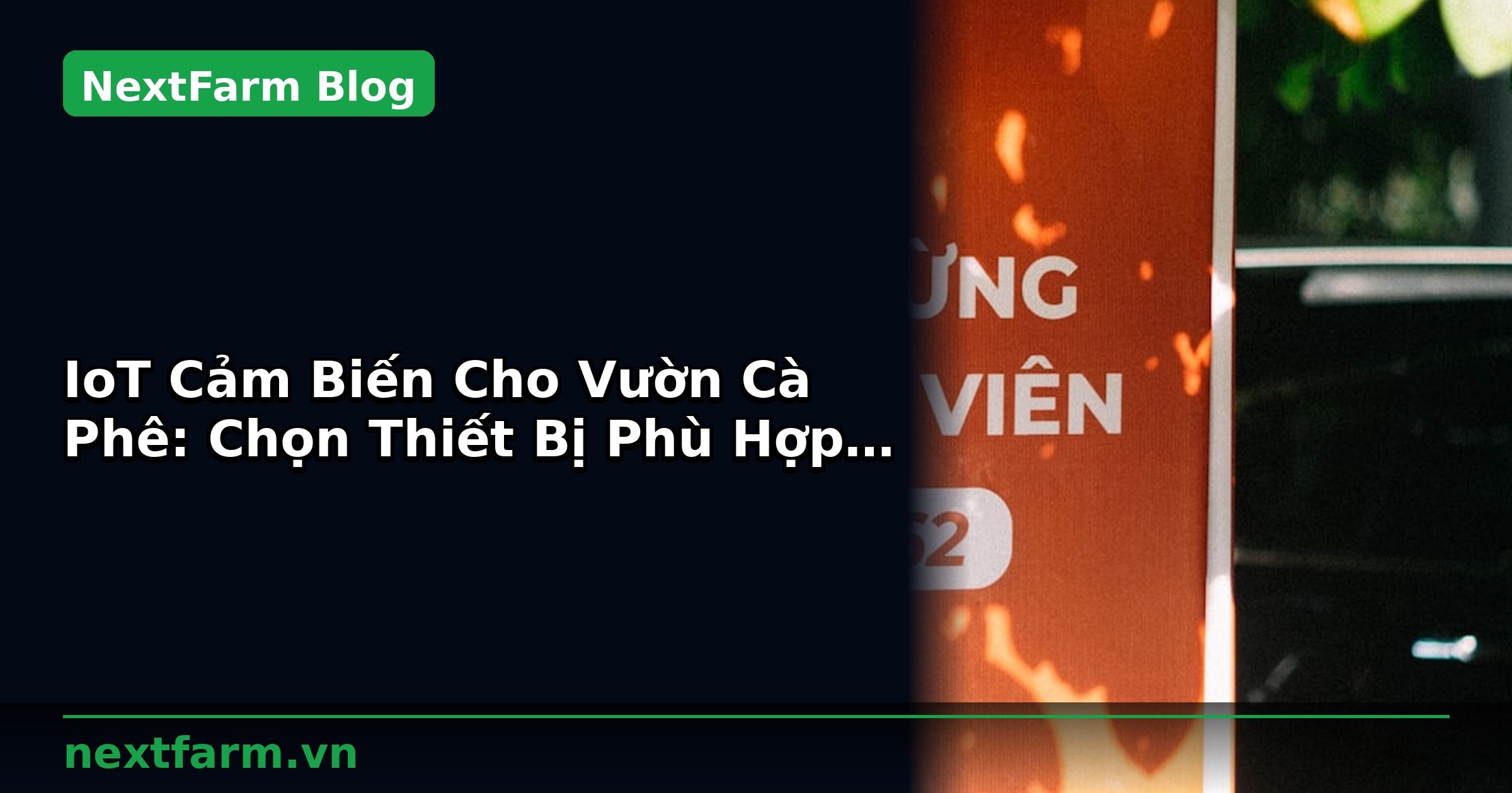 IoT Cảm Biến Cho Vườn Cà Phê: Chọn Thiết Bị Phù Hợp | NextFarm