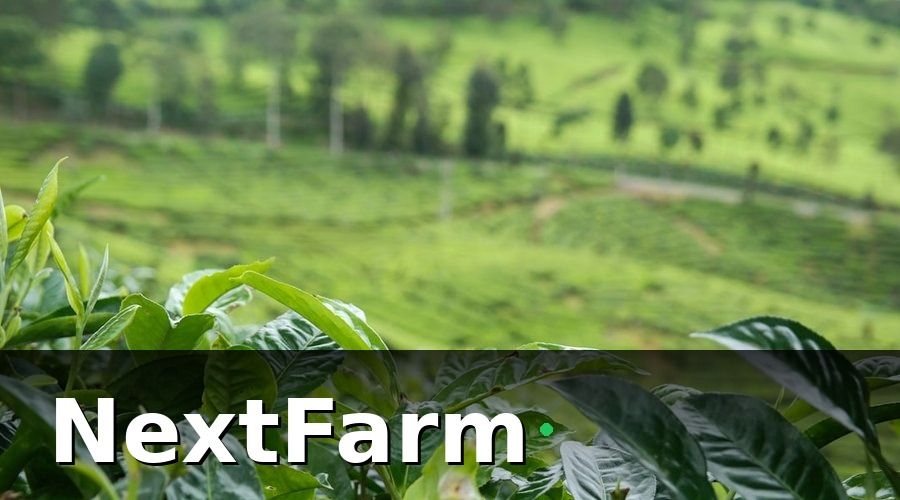 NextFarm — IoT cảm biến trong vườn cà phê là gì?