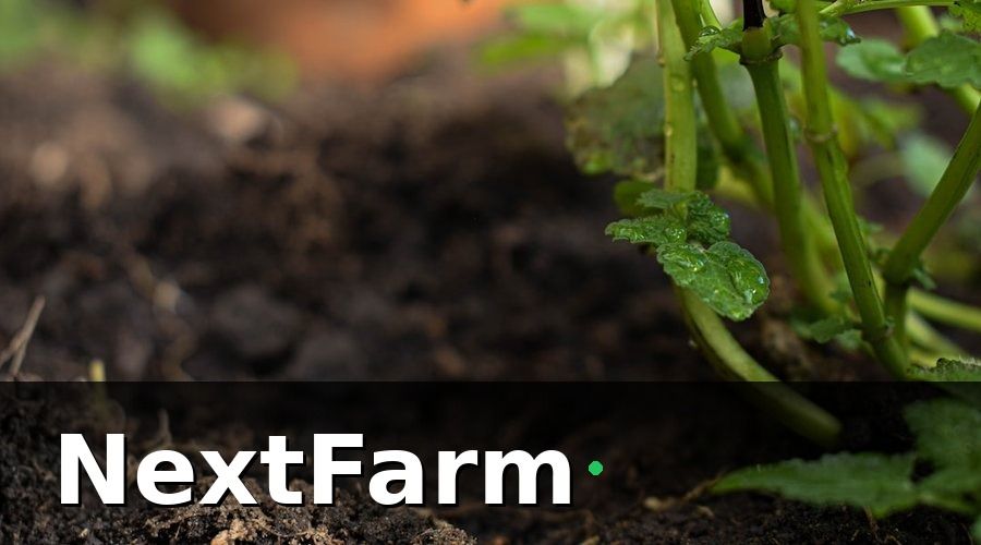 NextFarm — 5 loại cảm biến cần thiết nhất cho vườn cà phê