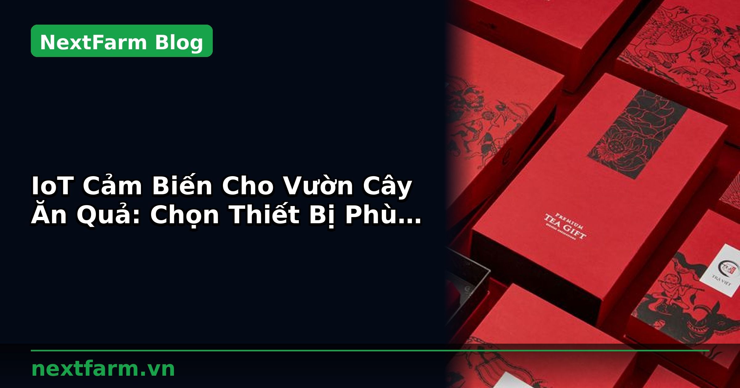 IoT Cảm Biến Cho Vườn Cây Ăn Quả: Chọn Thiết Bị Phù Hợp | NextFarm