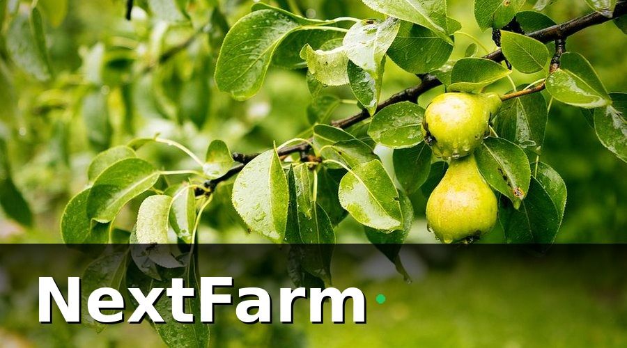 NextFarm — Các loại IoT cảm biến cần thiết cho vườn cây ăn quả