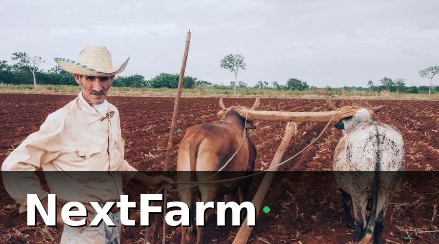 NextFarm — Tiêu chí chọn thiết bị IoT cảm biến cho vườn