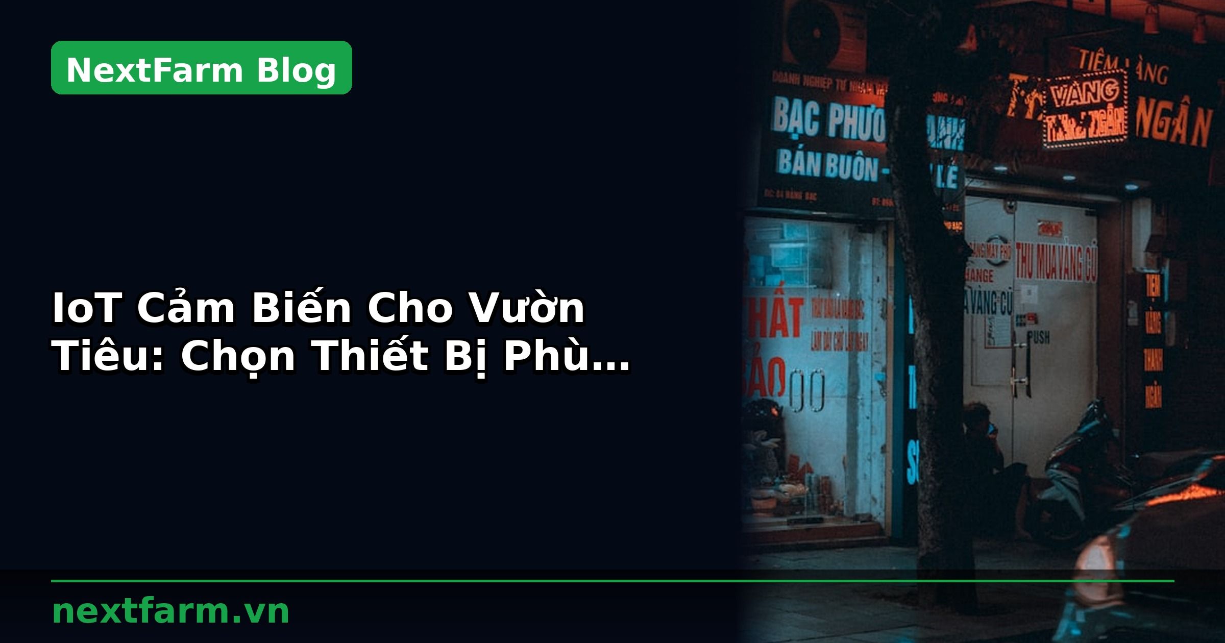 IoT Cảm Biến Cho Vườn Tiêu: Chọn Thiết Bị Phù Hợp | NextFarm