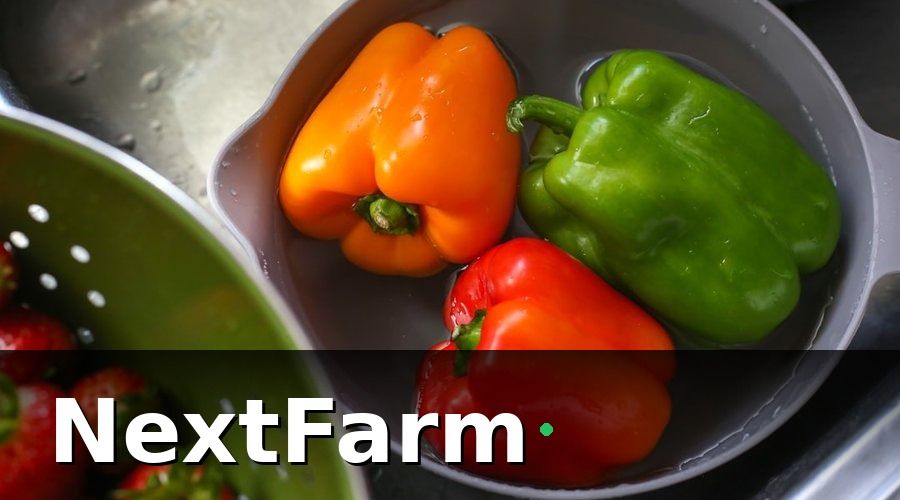 NextFarm — IoT cảm biến mang lại gì cho vườn tiêu?