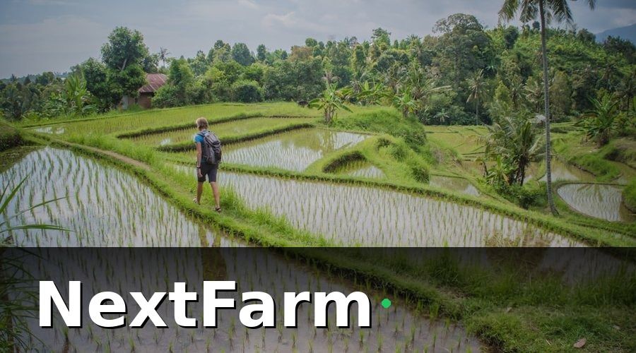 NextFarm — Tiêu chí chọn thiết bị IoT cảm biến cho vườn tiêu