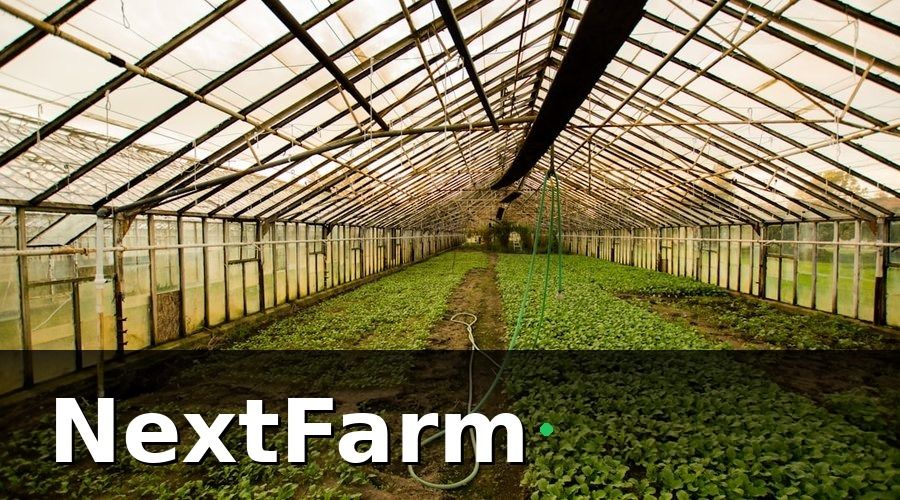 NextFarm — Tại Sao Nhà Kính Rau Cần IoT?