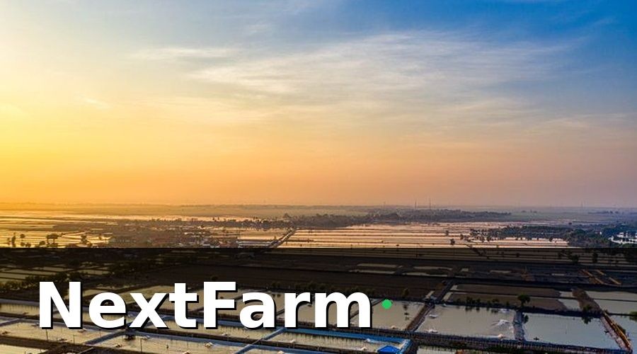 NextFarm — IoT Nuôi Tôm Là Gì và Tại Sao Cần Thiết?