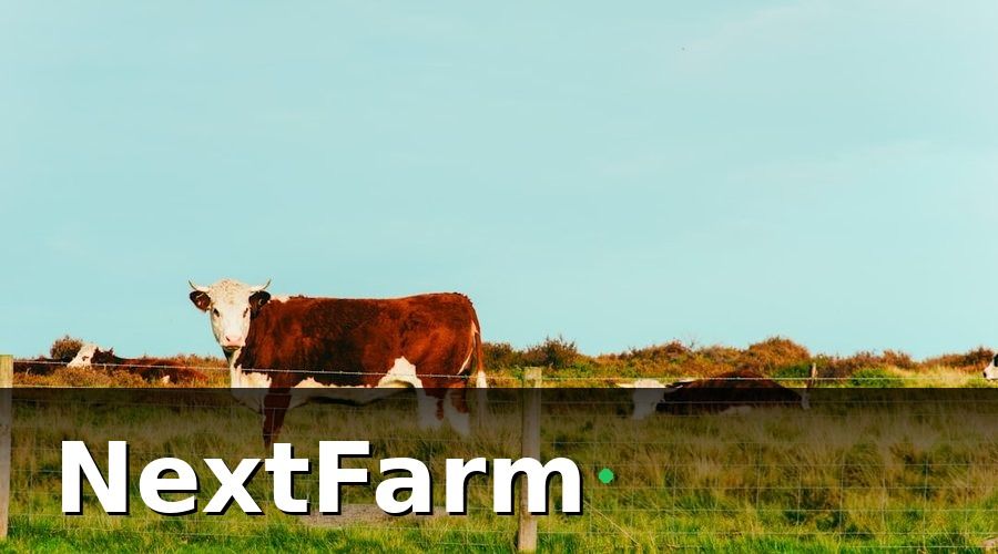 NextFarm — Bước 1: Xác Định Quy Mô và Lựa Chọn Thiết Bị IoT Phù Hợp