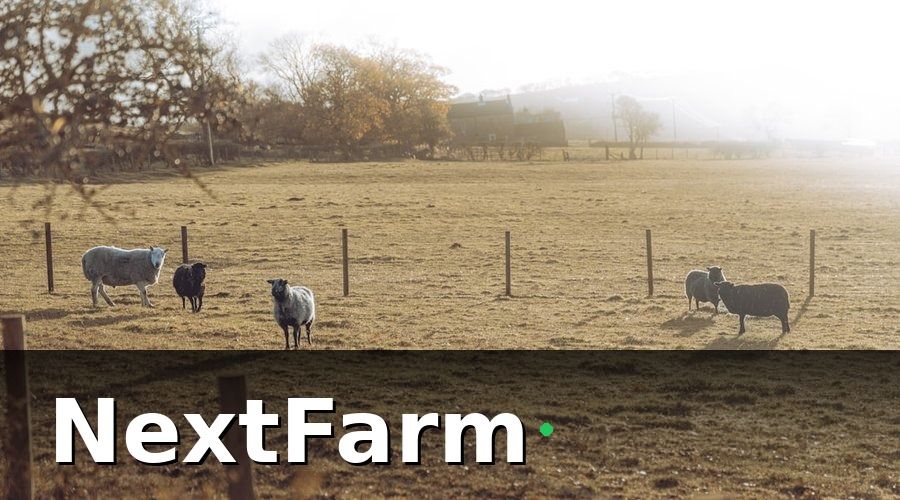 NextFarm — IoT Trong Chăn Nuôi Là Gì Và Tại Sao Cần Thiết?