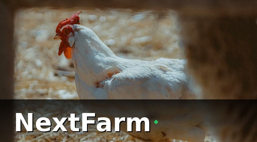 NextFarm — Các Thông Số Cần Giám Sát Trong Chuồng Trại
