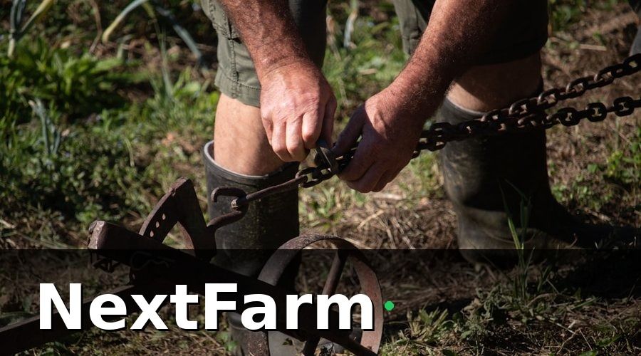 NextFarm — Hướng Dẫn Từng Bước Triển Khai IoT Trong Chuồng Trại