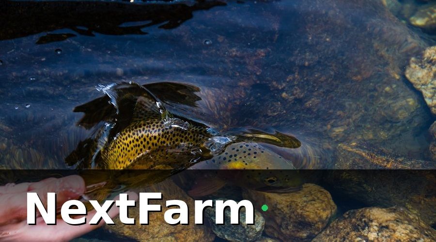 NextFarm — IoT Trong Thủy Sản Là Gì và Tại Sao ĐBSCL Cần Ngay?