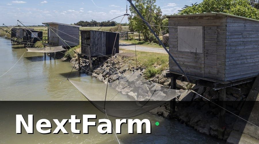 NextFarm — Bước 1 — Xác Định Thông Số Cần Giám Sát Cho Từng Loại Ao