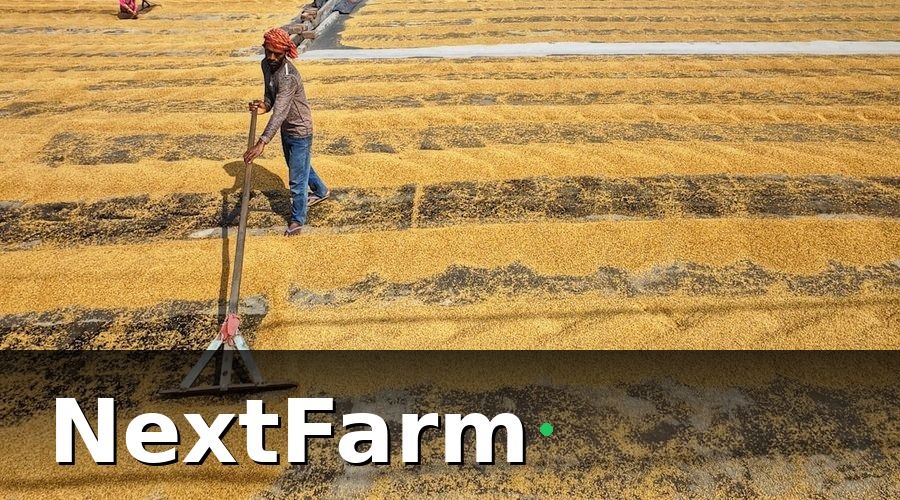 NextFarm — Quy Trình 7 Bước Đạt ISO 22000 Cho Cơ Sở Nông Nghiệp