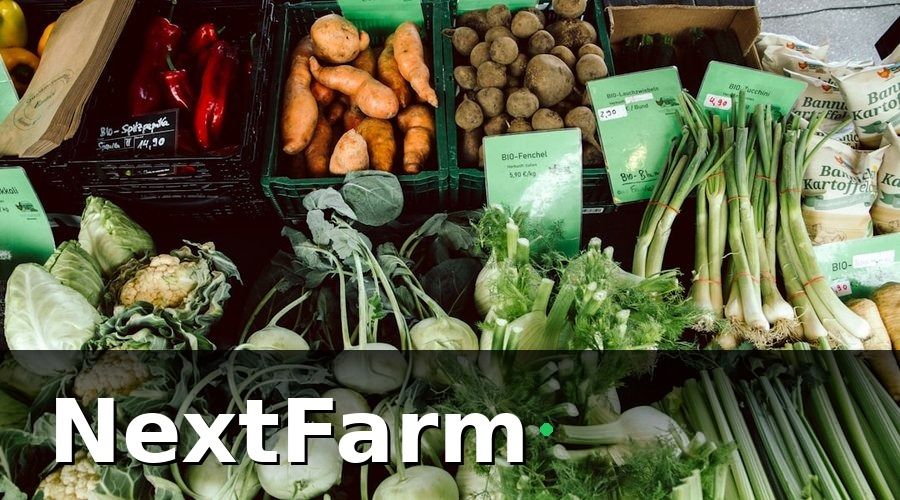 NextFarm — Tại Sao Kênh Phân Phối Quyết Định Giá Trị Nông Sản?