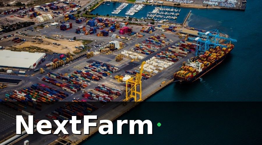 NextFarm — Kênh Xuất Khẩu: Biên Lợi Nhuận Cao, Yêu Cầu Nghiêm