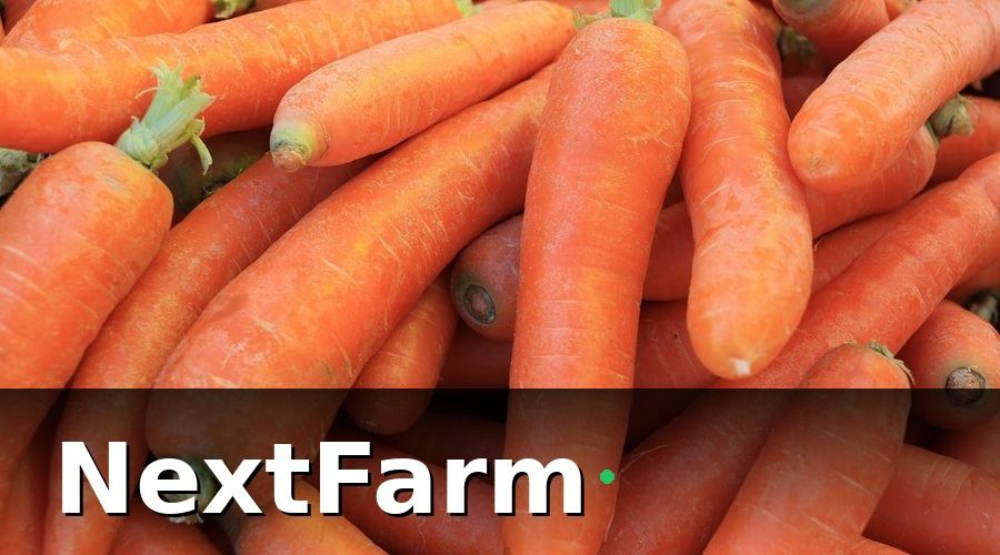 NextFarm — Tại Sao Kiểm Tra Chất Lượng Trước Xuất Xưởng Là Bước Không Thể Bỏ Qua