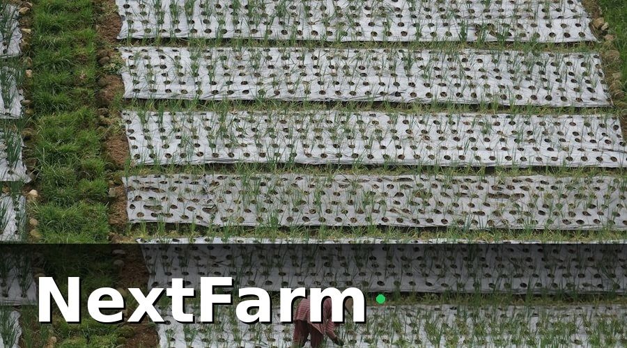 NextFarm — Những Lỗi Phổ Biến Khi Kiểm Tra Chất Lượng Theo Phương Pháp Thủ Công