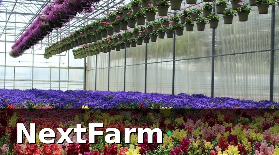 NextFarm — Các Mô Hình Kinh Doanh Nông Nghiệp Tiềm Năng Nhất 2026