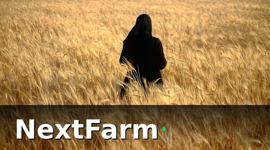 NextFarm — Xác định đúng vấn đề trước khi số hóa