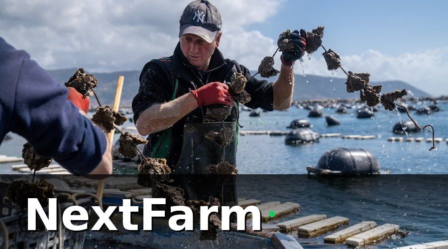 NextFarm — Bước 2 — Nhật ký điện tử: tưởng đơn giản nhưng hay bỏ sót