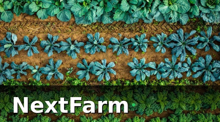 NextFarm — Tại sao cần số hóa chuỗi cung ứng nông sản?