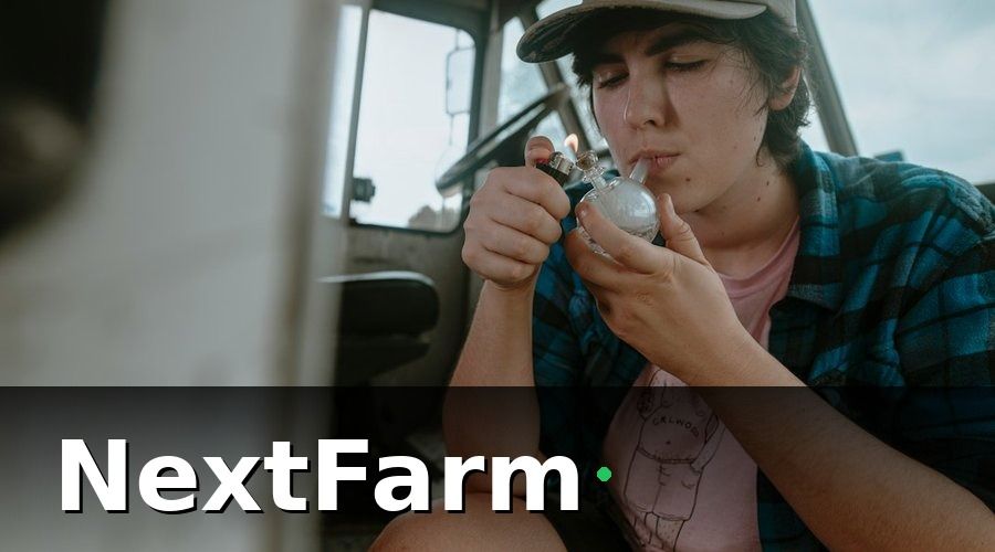 NextFarm — Chuẩn bị trước khi bay: 5 bước cần làm