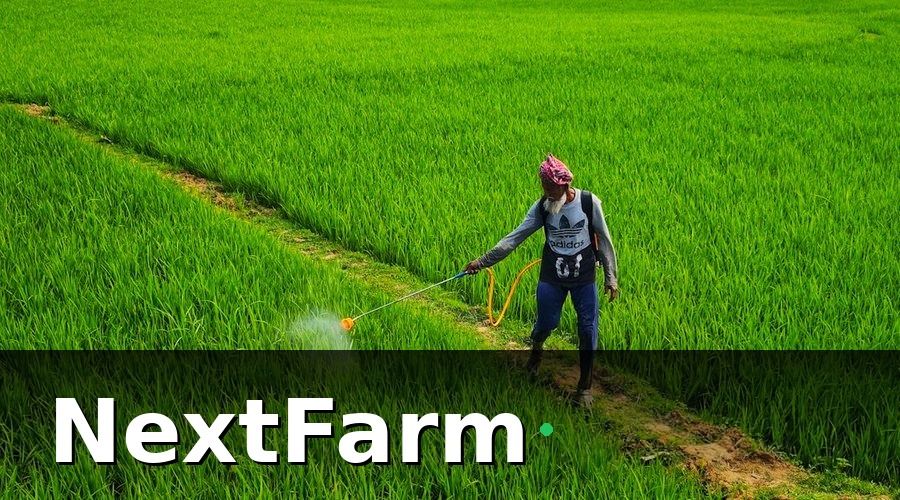 NextFarm — Bài Học 1: Đừng Số Hóa Quy Trình Sai