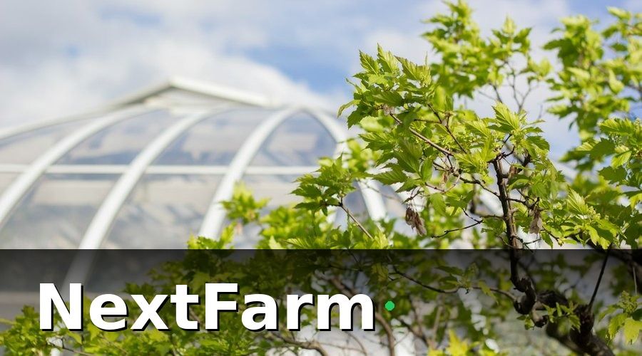 NextFarm — Bài Học 2: IoT Cảm Biến Là Nền Tảng, Không Phải Tùy Chọn