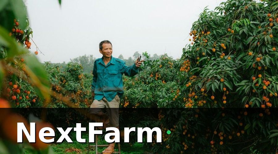 NextFarm — Bước đi cụ thể trong 90 ngày đầu