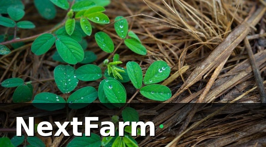 NextFarm — Bài học 2: IoT cảm biến không phải chỉ dành cho trang trại lớn