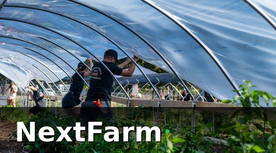 NextFarm — Bắt đầu từ quy mô nhỏ, sau đó nhân rộng