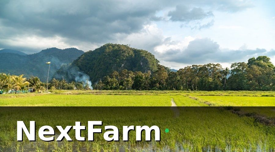 NextFarm — Số hóa ruộng lúa là gì và tại sao cần làm?
