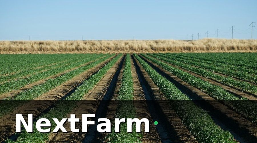NextFarm — Chọn công cụ vừa túi tiền