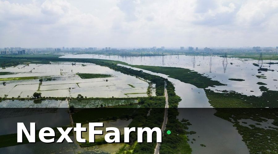 NextFarm — Tại sao số hóa ao nuôi tôm không còn là lựa chọn?