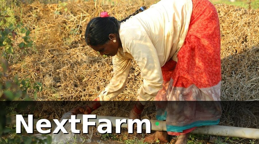 NextFarm — 1. Xác định điểm đau trước khi đầu tư công nghệ