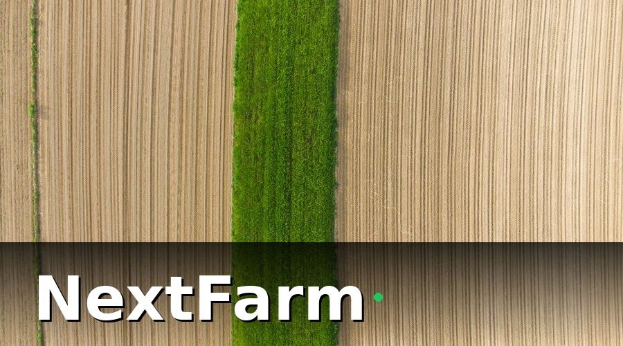 NextFarm — 2. Bắt đầu từ mảnh đất nhỏ nhất