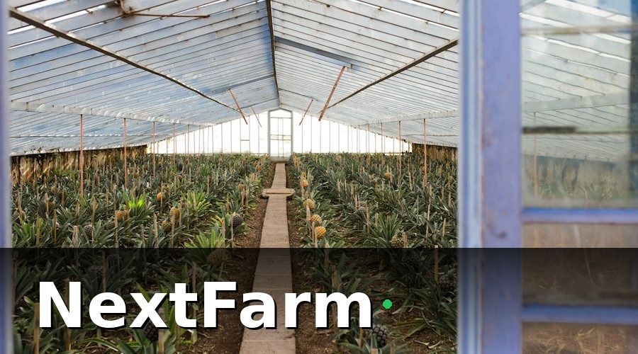 NextFarm — Bài học 1: Đừng bắt đầu bằng phần cứng — hãy bắt đầu bằng dữ liệu